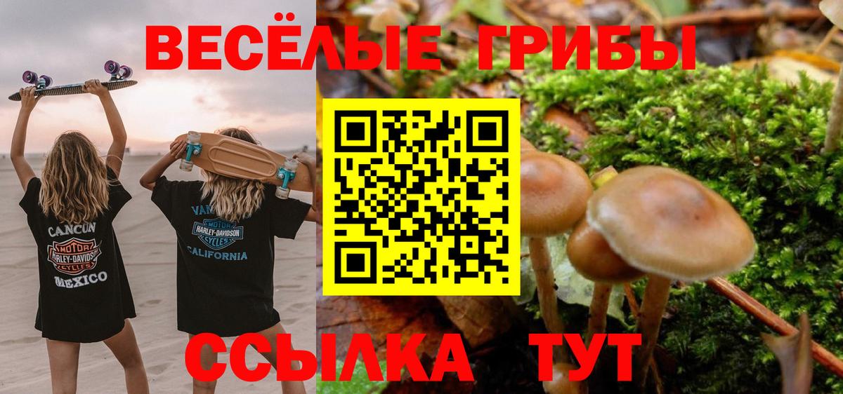 Псилоцибиновые грибы ЛСД  Вход с VPN  купить наркоту  Рузаевка 